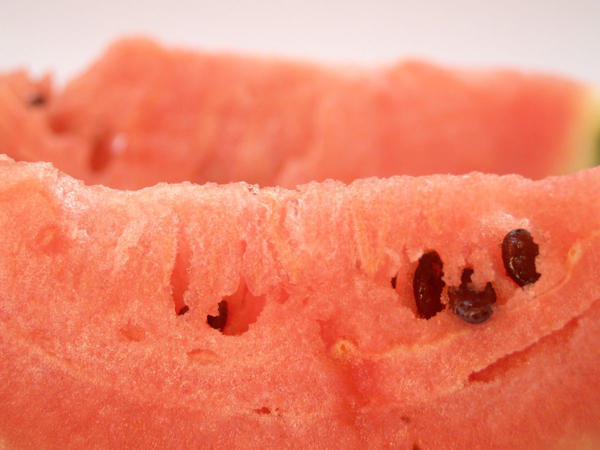 watermelon-fragustoepassione-gazpacho