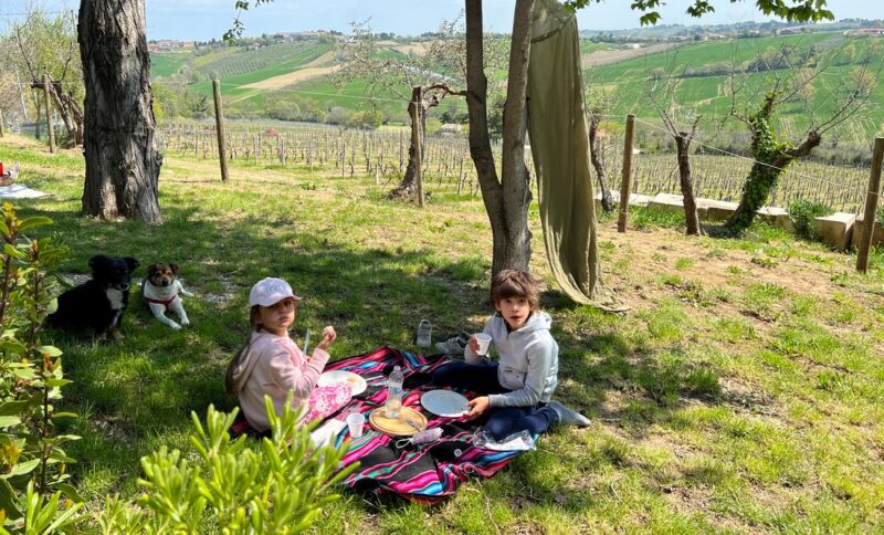 Pic-nic a Cantine Marconi